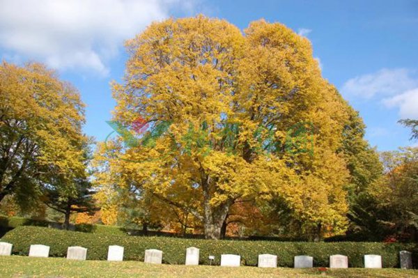 1-211222150U0504 首页 - 菲律宾亚星国际官方网站