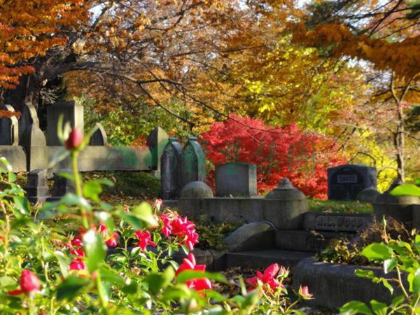 1-21122215100W24 首页 - 菲律宾亚星国际官方网站