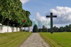 ���˹��˹�۸�ӵǹ�Ĺ