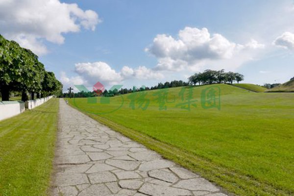 ��ҳ - ���ɱ����ǹ��ʹٷ���վ