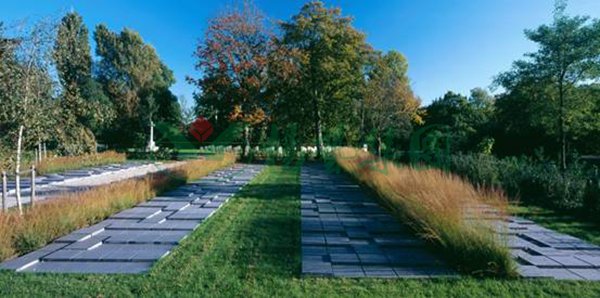 ��ҳ - ���ɱ����ǹ��ʹٷ���վ