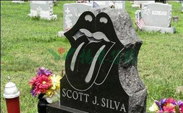 ��ҳ - ���ɱ����ǹ��ʹٷ���վ