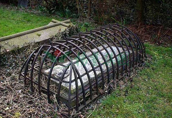 1-211222164310218 首页 - 菲律宾亚星国际官方网站