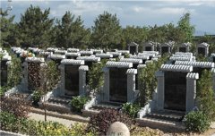 ��һ��Ĺ�������Ļ�