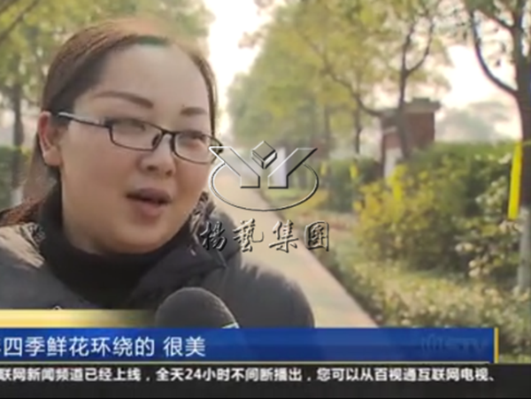 ��ҳ - ���ɱ����ǹ��ʹٷ���վ