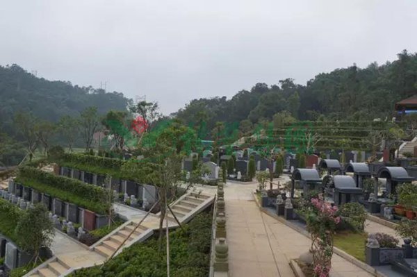 ��ҳ - ���ɱ����ǹ��ʹٷ���վ