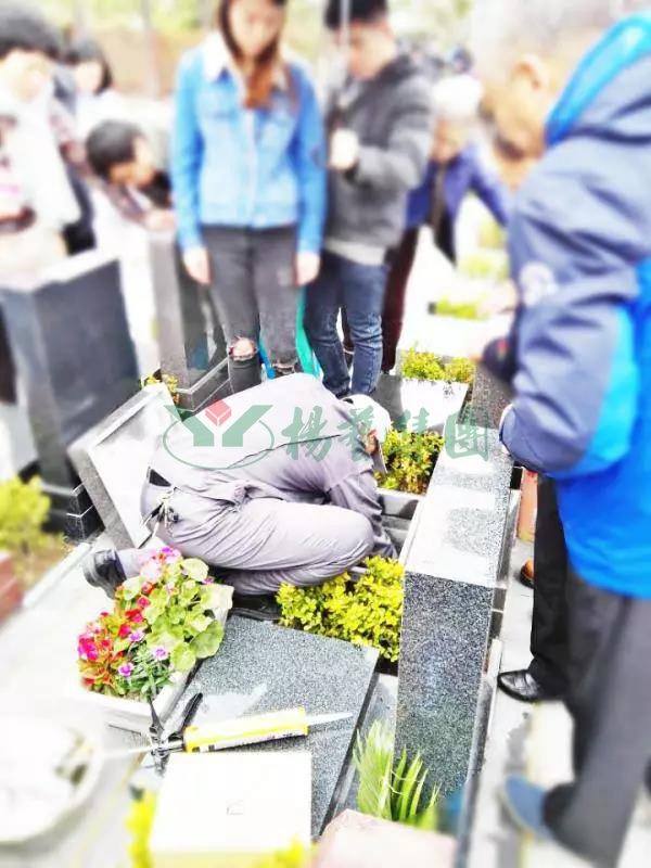 ��ҳ - ���ɱ����ǹ��ʹٷ���վ