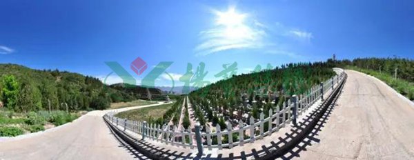 ��ҳ - ���ɱ����ǹ��ʹٷ���վ