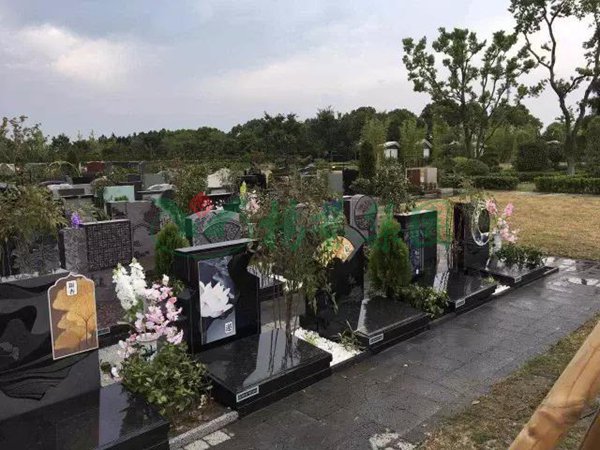 ��ҳ - ���ɱ����ǹ��ʹٷ���վ