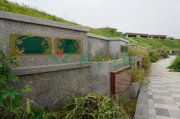 ��ҳ - ���ɱ����ǹ��ʹٷ���վ