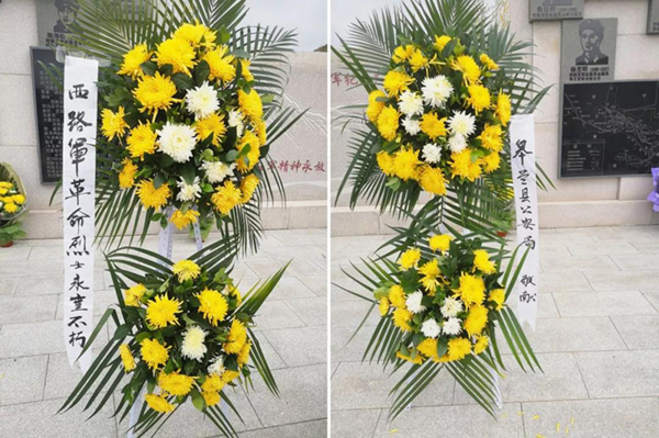 ��ҳ - ���ɱ����ǹ��ʹٷ���վ