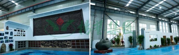 ��ҳ - ���ɱ����ǹ��ʹٷ���վ