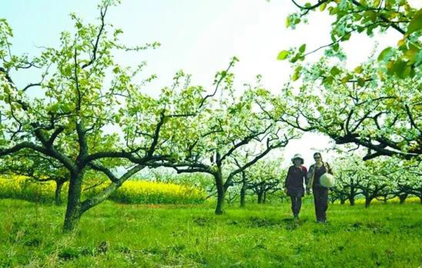 ��ҳ - ���ɱ����ǹ��ʹٷ���վ