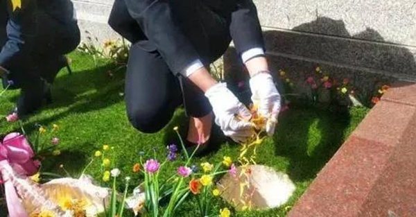 ��ҳ - ���ɱ����ǹ��ʹٷ���վ