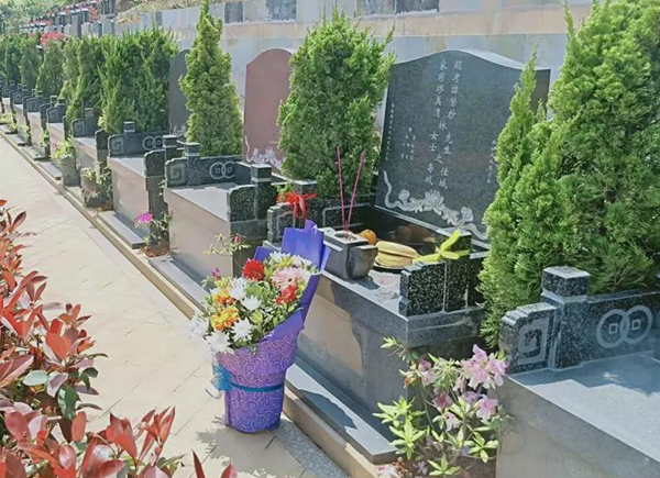 ��ҳ - ���ɱ����ǹ��ʹٷ���վ