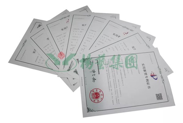 ��ҳ - ���ɱ����ǹ��ʹٷ���վ