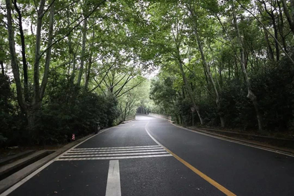 ��ҳ - ���ɱ����ǹ��ʹٷ���վ