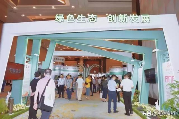 1-220105104621946 首页 - 菲律宾亚星国际官方网站