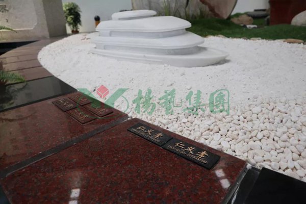 ��ҳ - ���ɱ����ǹ��ʹٷ���վ