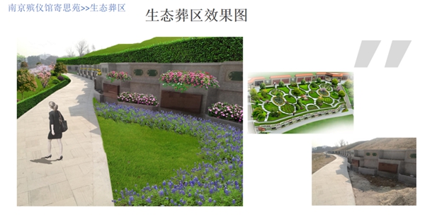 1-22022414214R04 Ê×Ò³ - ·ÆÂɱöÑÇÐǹú¼Ê¹Ù·½ÍøÕ¾