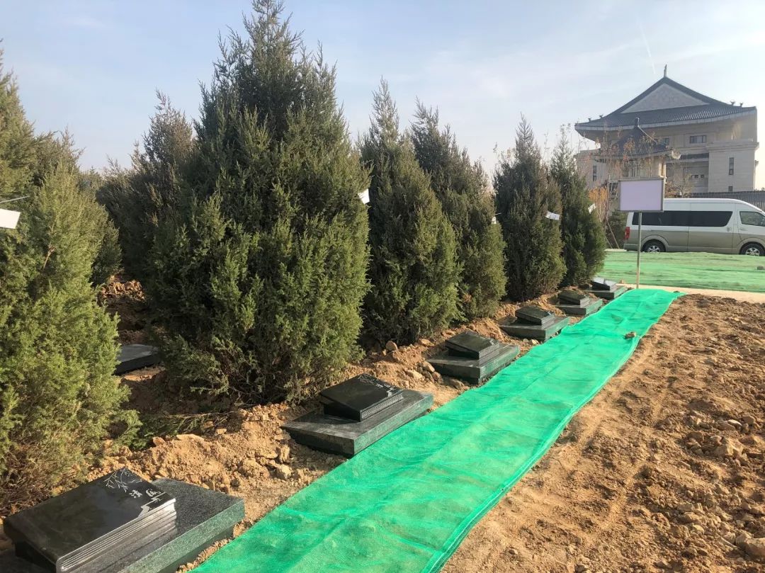 ��ҳ - ���ɱ����ǹ��ʹٷ���վ