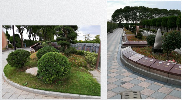 1-22022Q30000518 Ê×Ò³ - ·ÆÂɱöÑÇÐǹú¼Ê¹Ù·½ÍøÕ¾