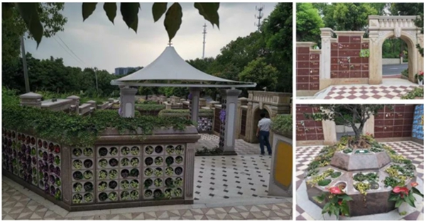 1-22022Q30136161 Ê×Ò³ - ·ÆÂɱöÑÇÐǹú¼Ê¹Ù·½ÍøÕ¾