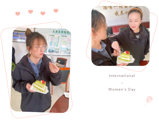 ��ҳ - ���ɱ����ǹ��ʹٷ���վ