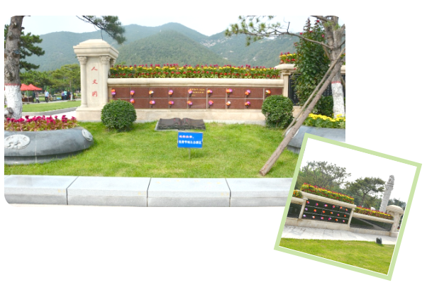 ��ҳ - ���ɱ����ǹ��ʹٷ���վ