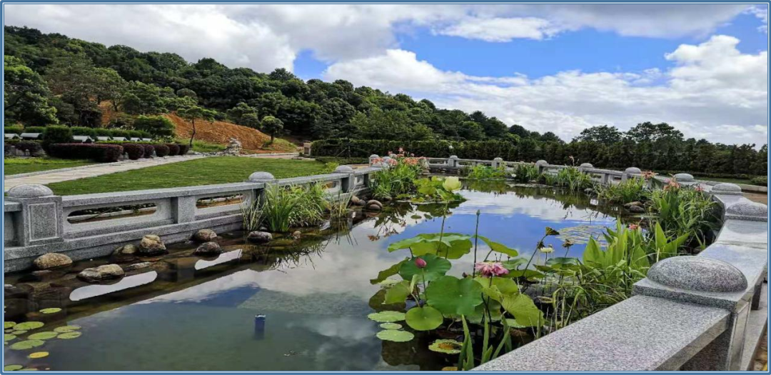 ��ҳ - ���ɱ����ǹ��ʹٷ���վ