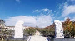 ����������԰������ɫ��̬�ڵ�����