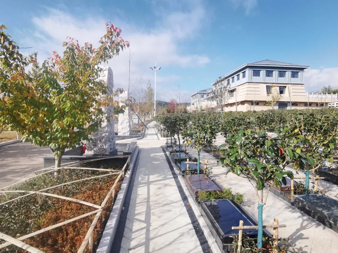 ��ҳ - ���ɱ����ǹ��ʹٷ���վ