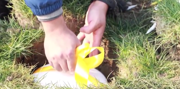 ��ҳ - ���ɱ����ǹ��ʹٷ���վ