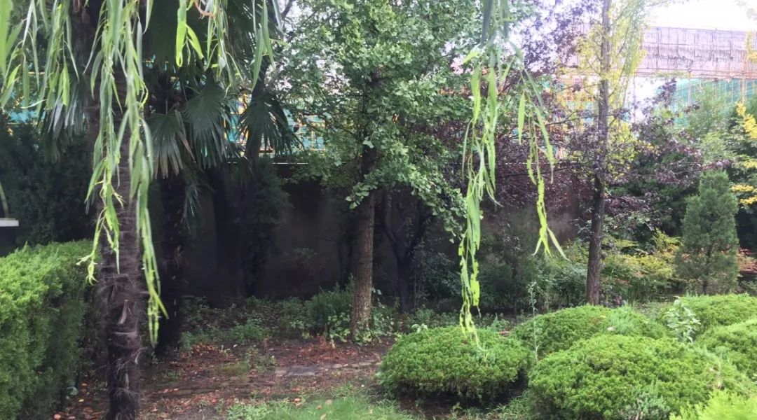 ��ҳ - ���ɱ����ǹ��ʹٷ���վ