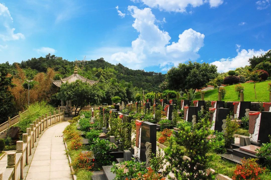 ��ҳ - ���ɱ����ǹ��ʹٷ���վ