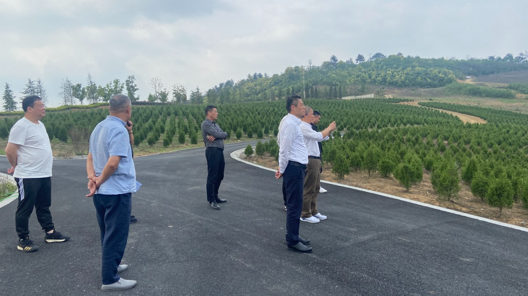 ��ҳ - ���ɱ����ǹ��ʹٷ���վ