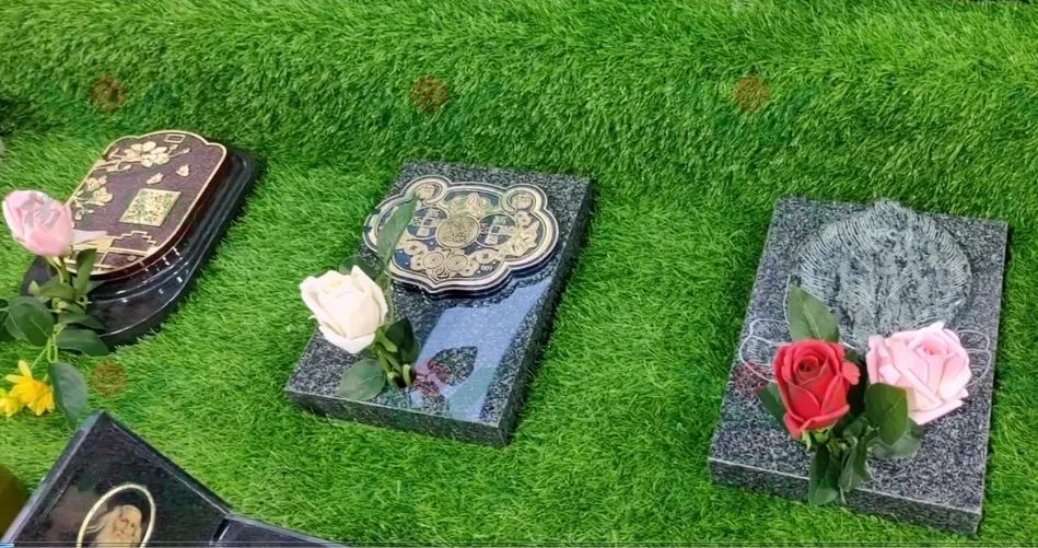 ��ҳ - ���ɱ����ǹ��ʹٷ���վ