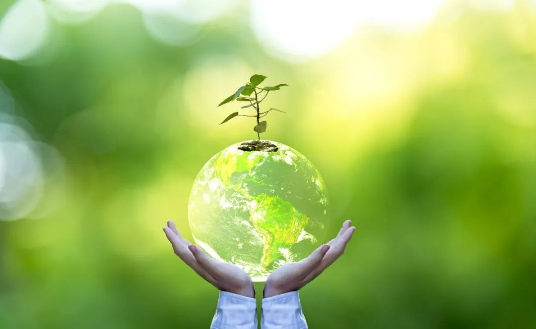 1-230F615425BM Ê×Ò³ - ·ÆÂɱöÑÇÐǹú¼Ê¹Ù·½ÍøÕ¾