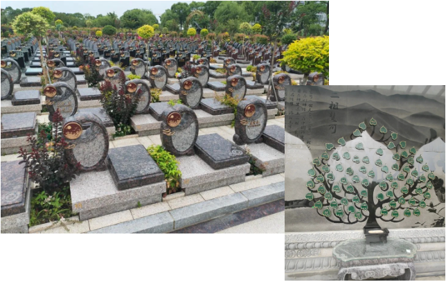 ��ҳ - ���ɱ����ǹ��ʹٷ���վ