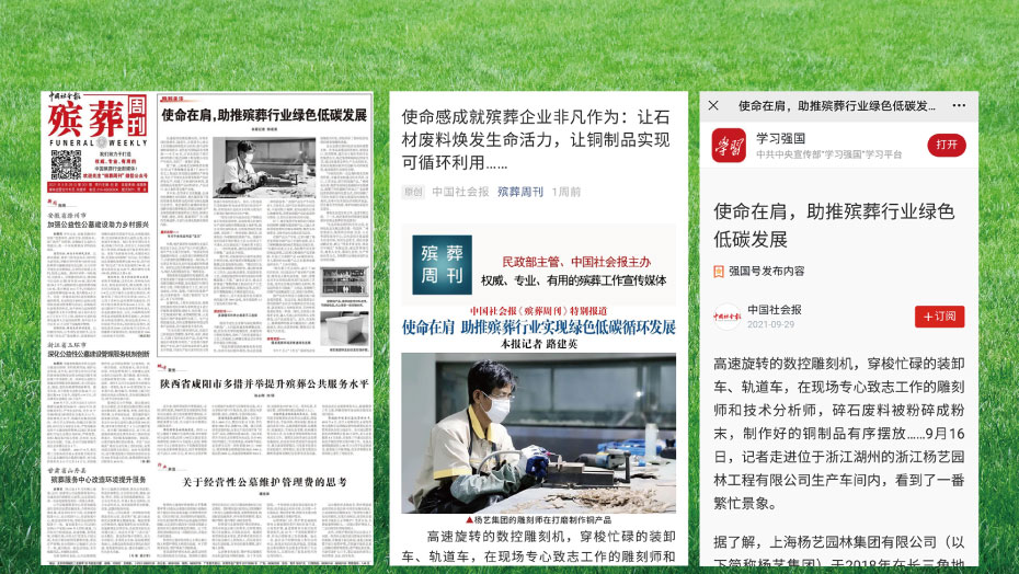 ��ɫ����