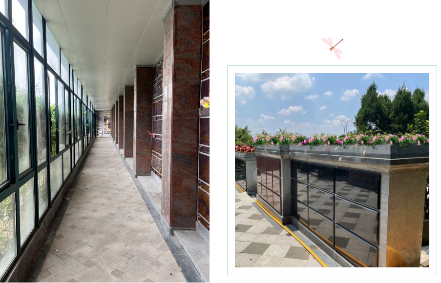 ��ҳ - ���ɱ����ǹ��ʹٷ���վ