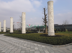 <b>���»���|���ɱ����Ǽ��Ż�������Ĺ��ҵ�᳹��˫̼���辶</b>