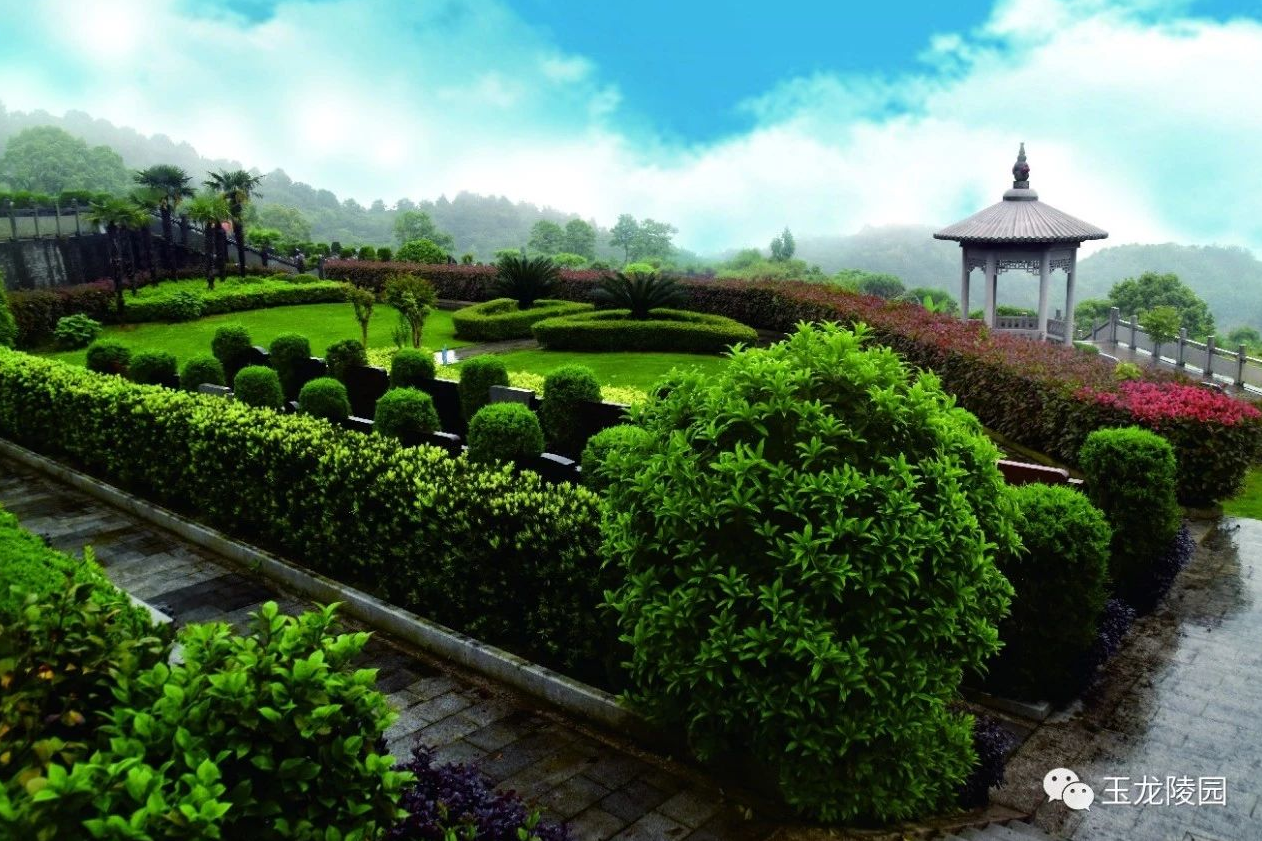 1-230I1125R5J1 首页 - 菲律宾亚星国际官方网站