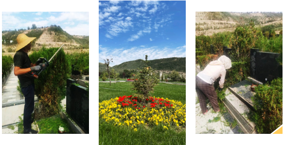 1-230Q409225U56 首页 - 菲律宾亚星国际官方网站