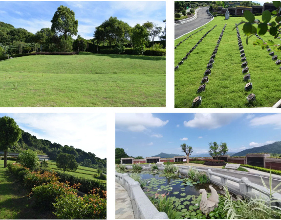 1-230Q40U04H02 首页 - 菲律宾亚星国际官方网站