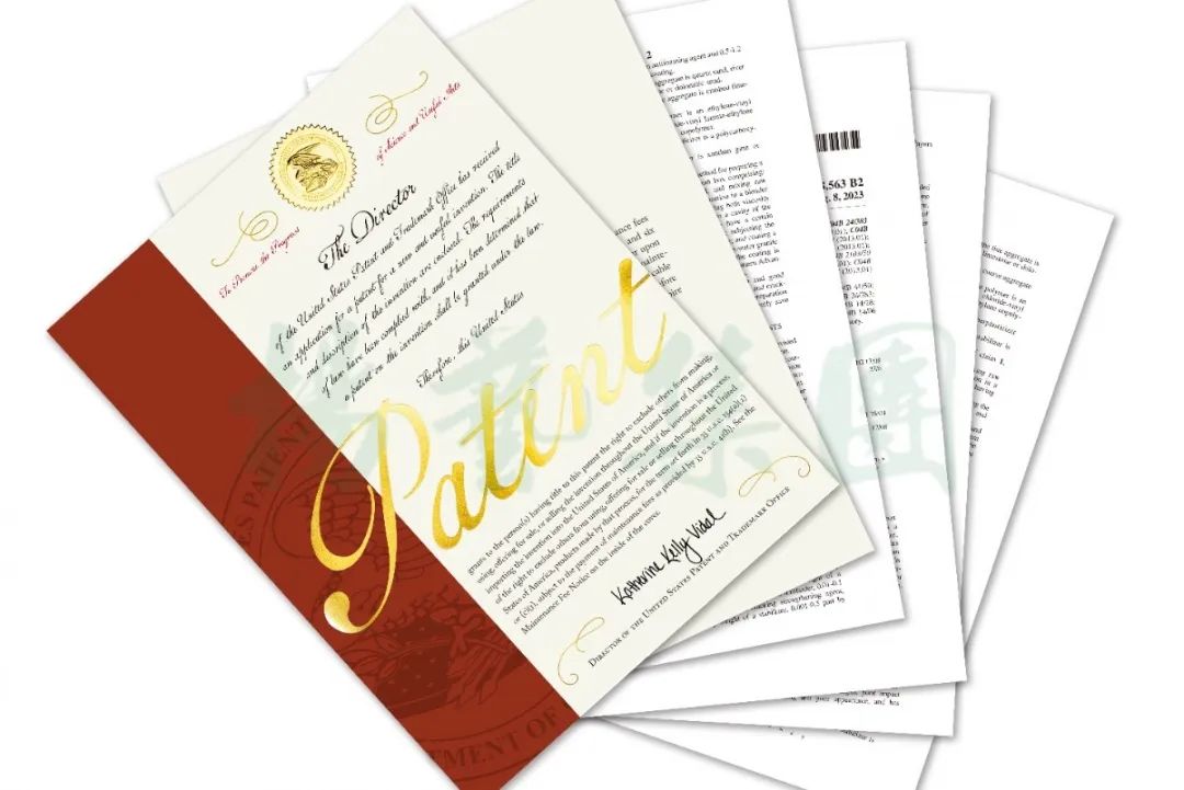 ��ҳ - ���ɱ����ǹ��ʹٷ���վ