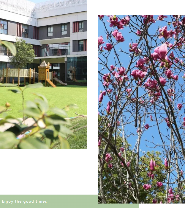 1-230RQ11F4563 Ê×Ò³ - ·ÆÂɱöÑÇÐǹú¼Ê¹Ù·½ÍøÕ¾