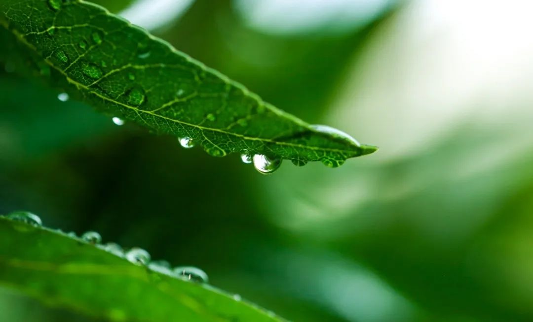 ��ҳ - ���ɱ����ǹ��ʹٷ���վ