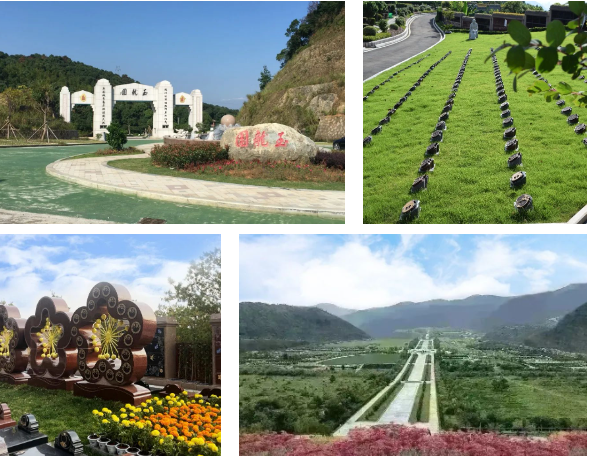 ��ҳ - ���ɱ����ǹ��ʹٷ���վ