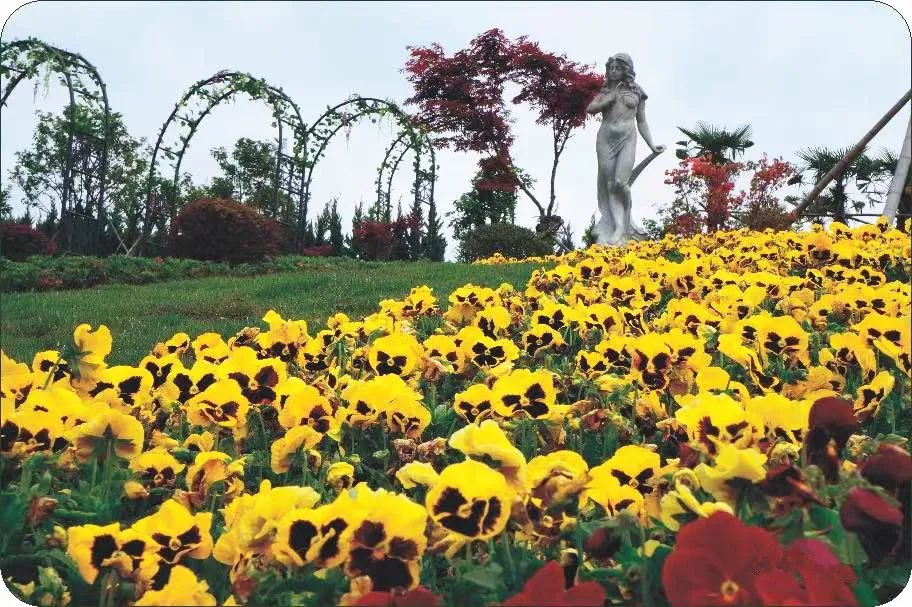 1-231016095J1131 首页 - 菲律宾亚星国际官方网站